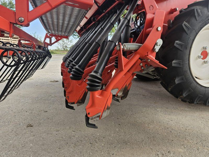 Maschio Nina 30