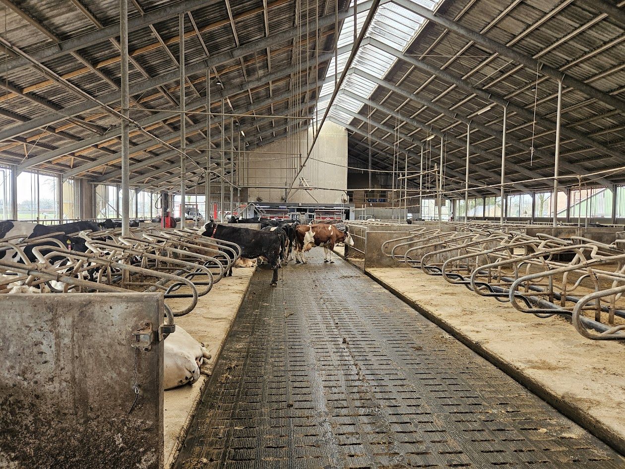 Stalinrichting Spinder Profitboxen boxbedekking