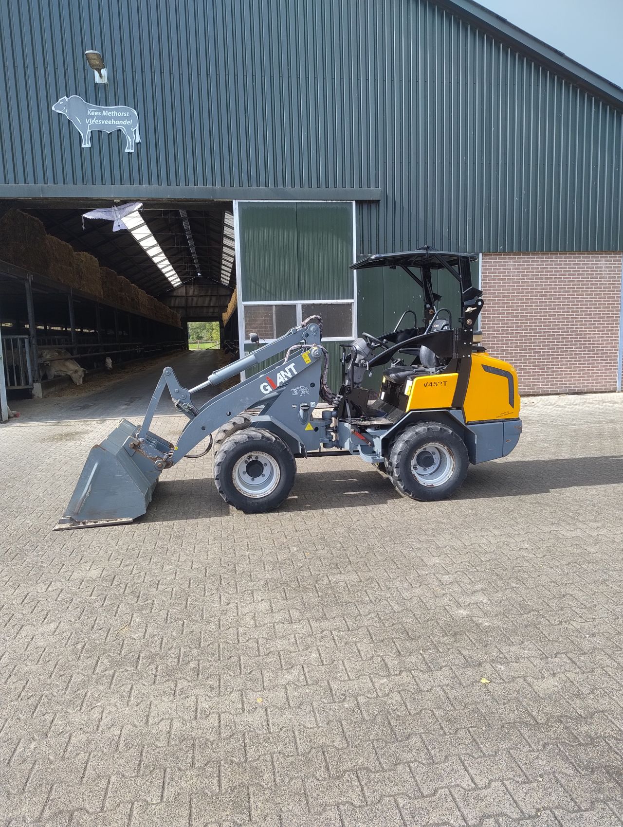 Giant V452T