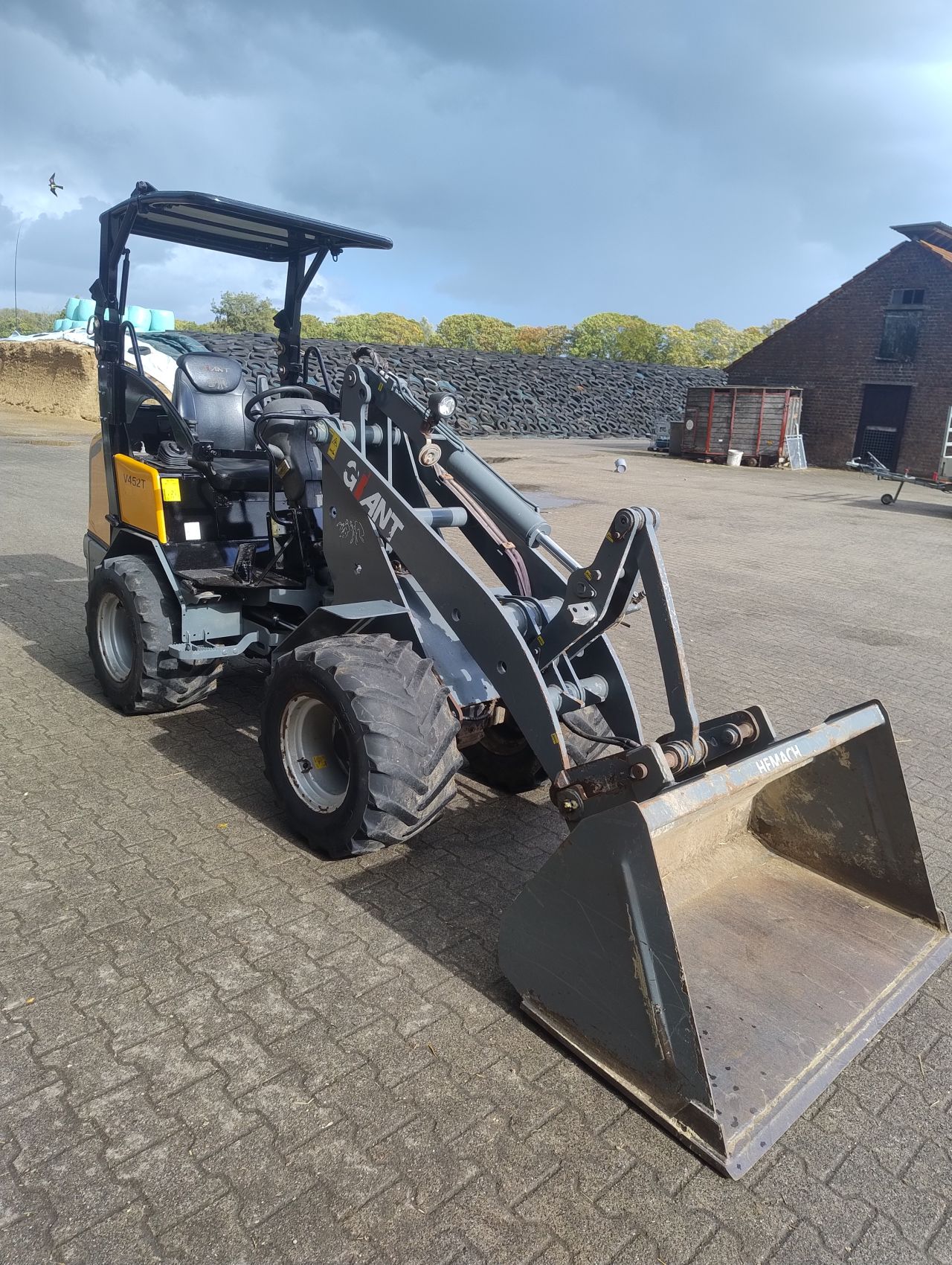 Giant V452T