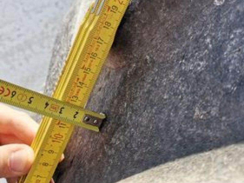 Firestone 1 Garnitur Reifen 650/65R38 und 540/65R28