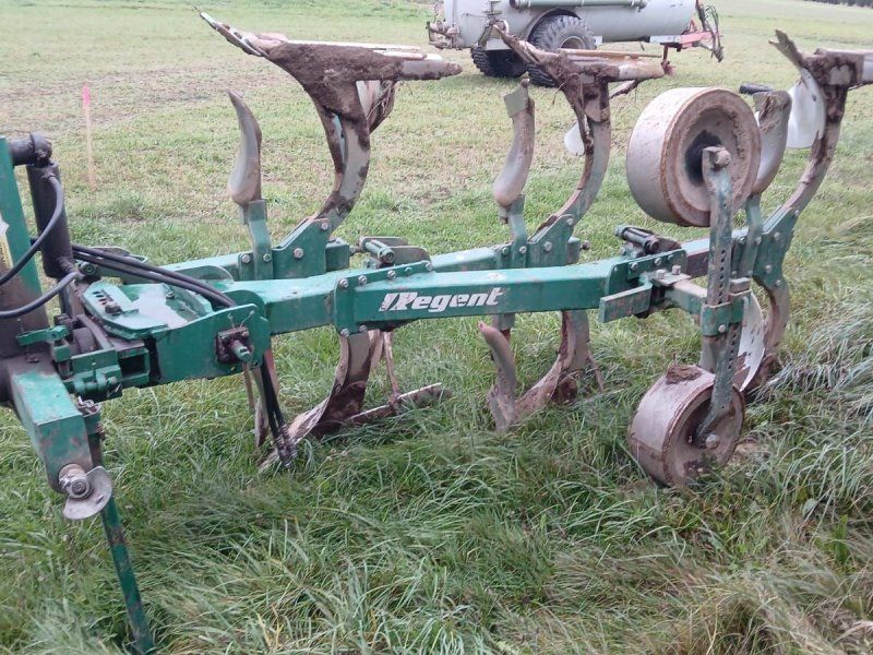 Regent 3 Schar mit Steinsicherung