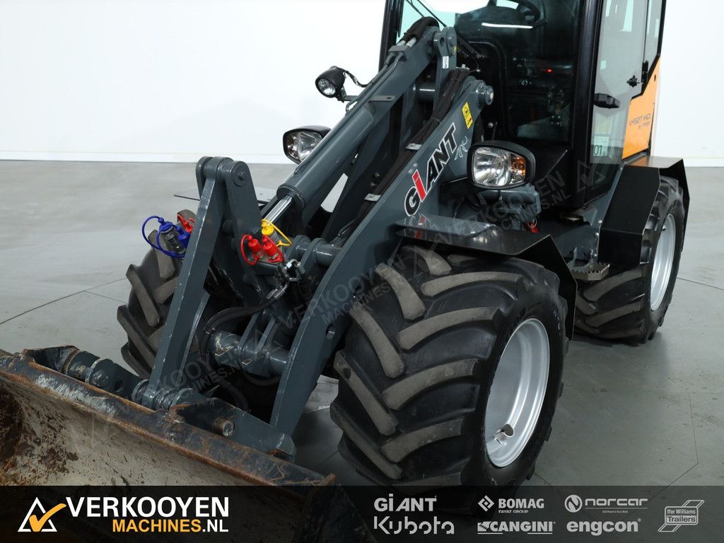 2019 Giant V452T X-tra HD VK10304