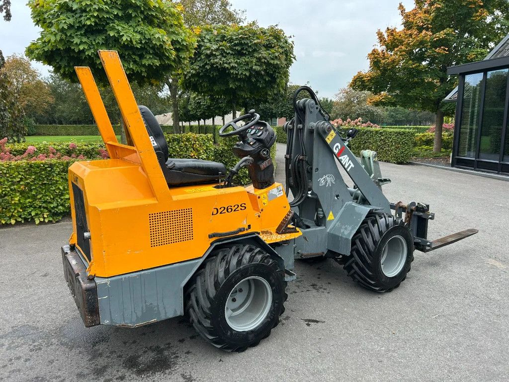 Giant D262S