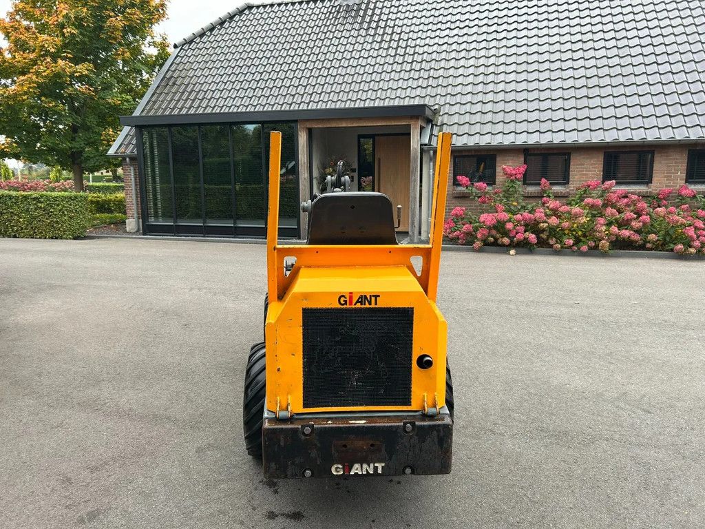 Giant D262S