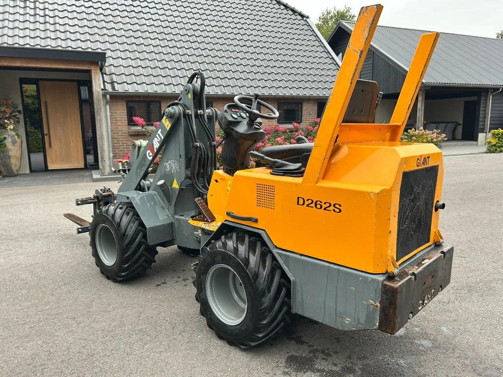 Giant D262S