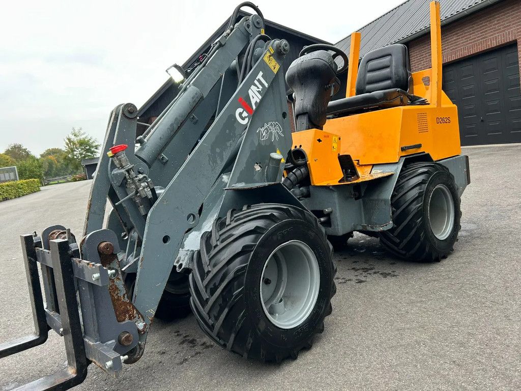 Giant D262S