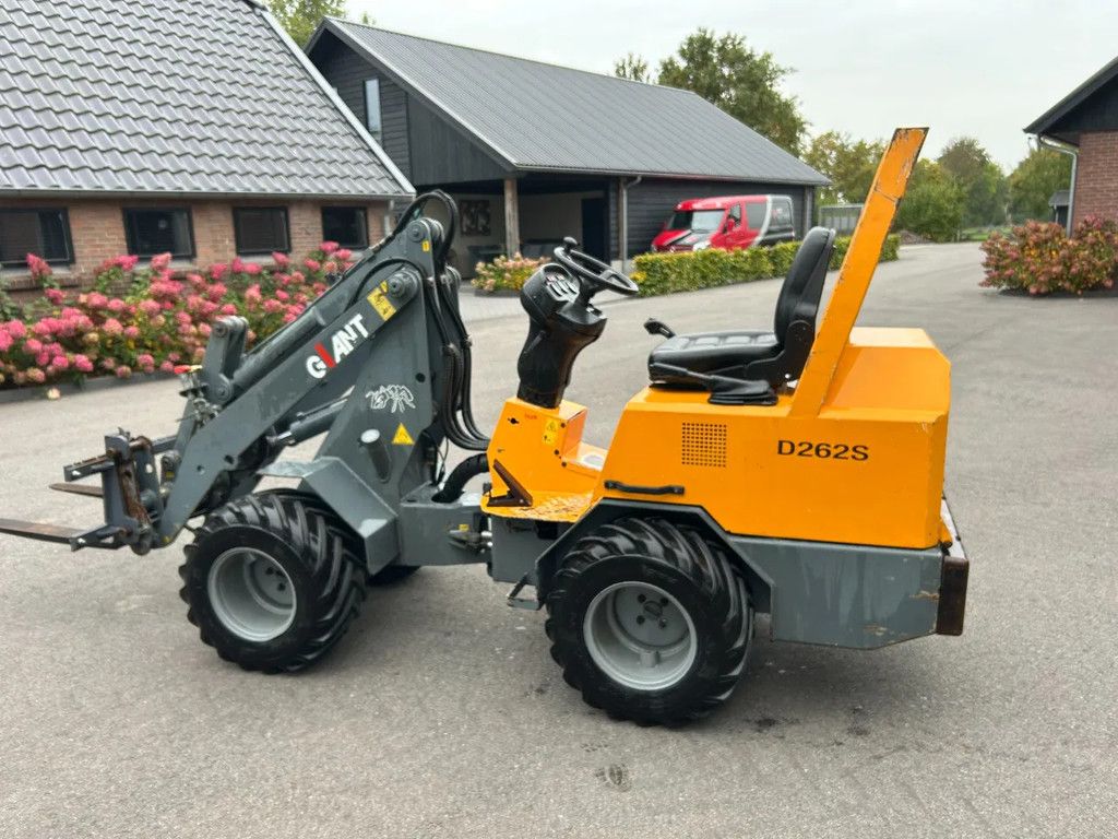 Giant D262S