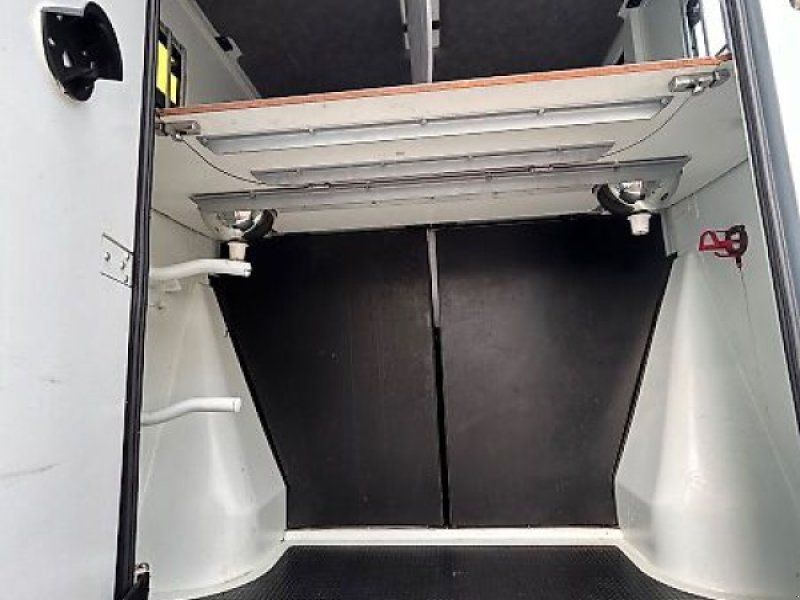 Renault Master Theault  Pferdeer 5 Sitzer TOP