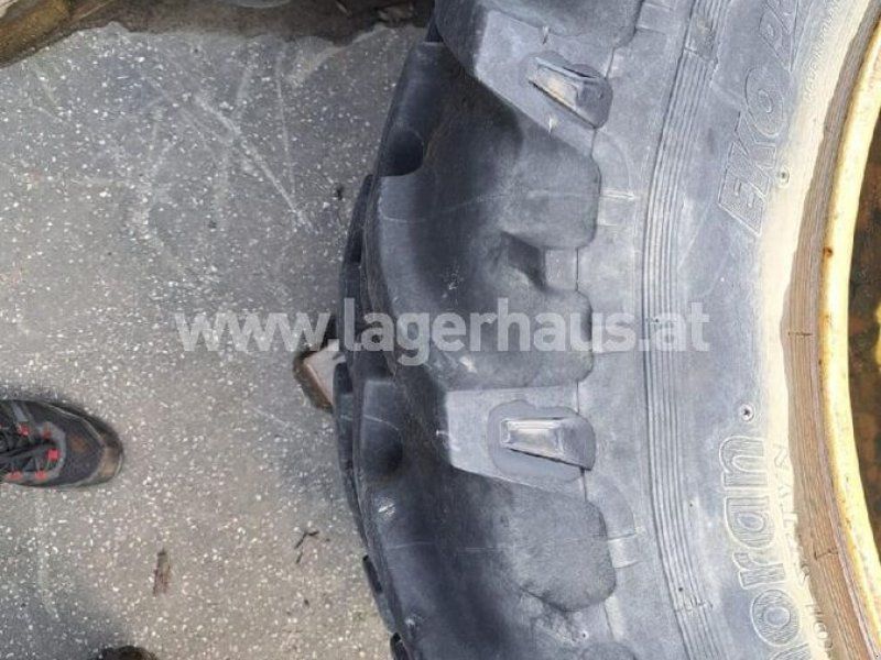 Trinker ZWILLINGSRÄDER