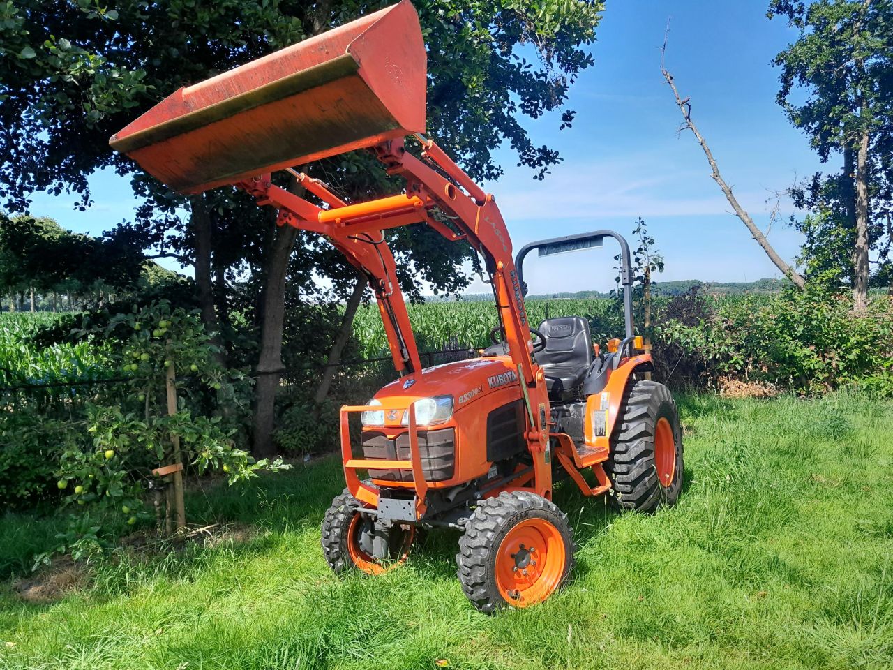Kubota B3300
