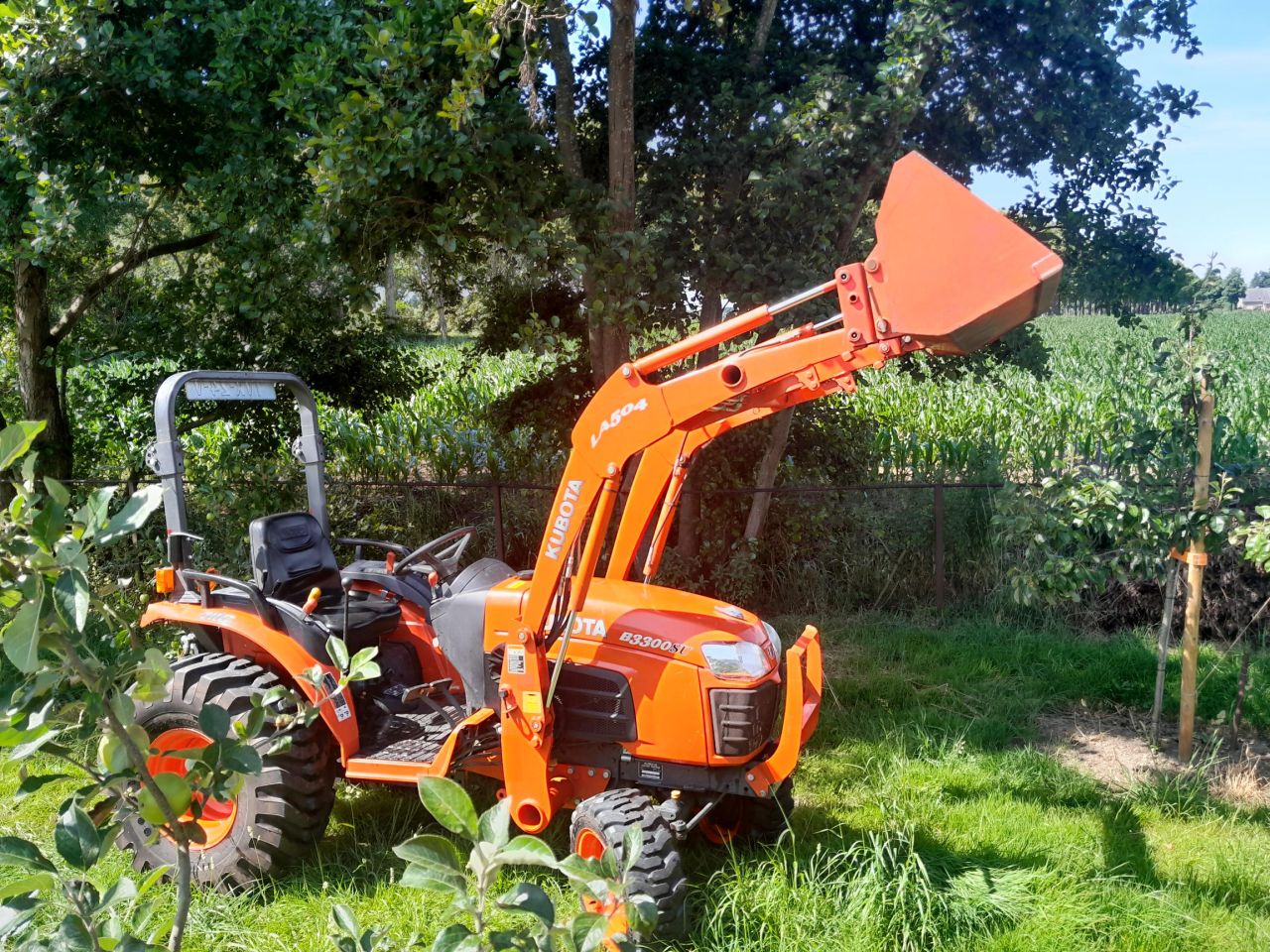 Kubota B3300