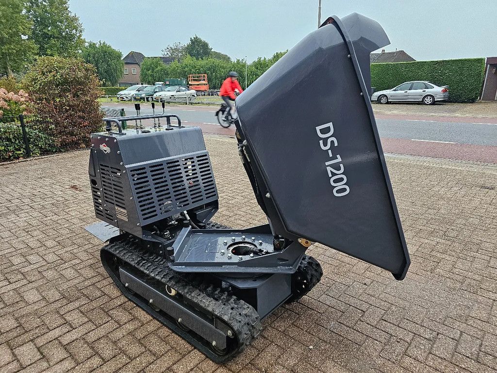 Briggs en Stratton Rupsdumper! Swivel draaikrans hinowa messersi