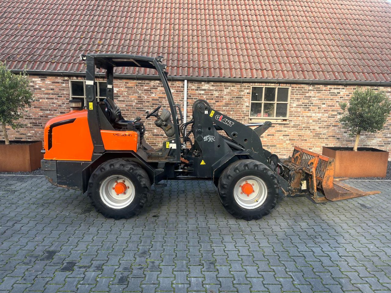 Giant V6004T