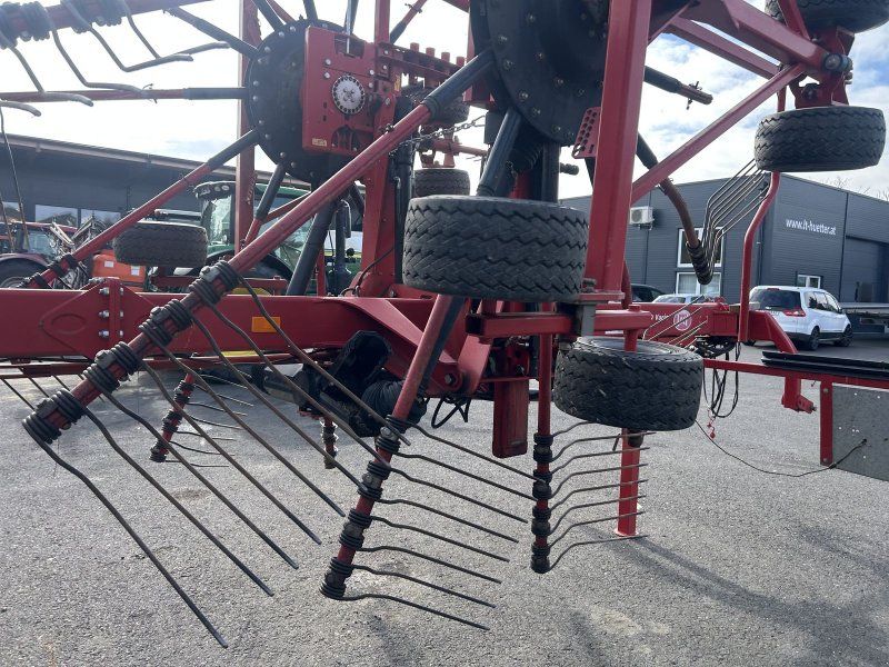 Lely Hibiscus 915 CD BESCHÄDIGT