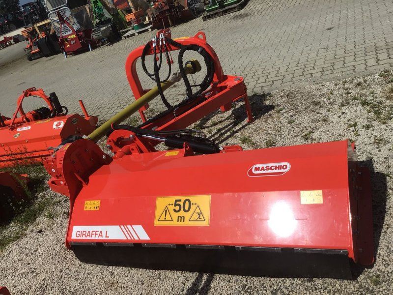 Maschio Giraffa L