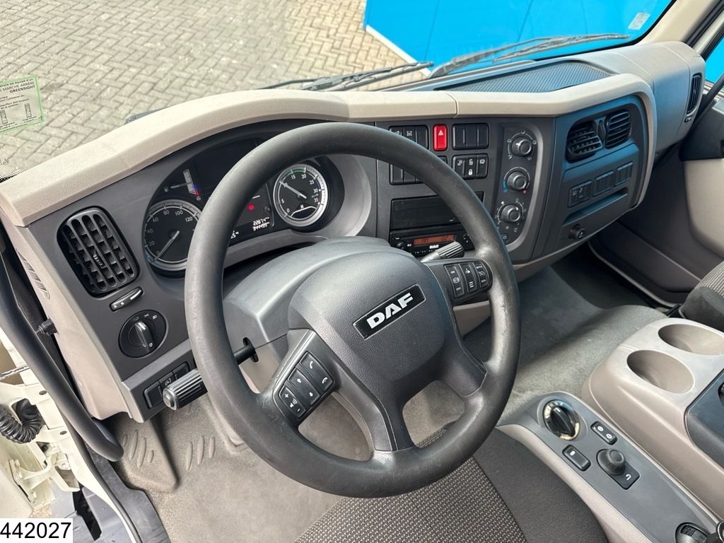 DAF LF 210 EURO 6, Dhollandia