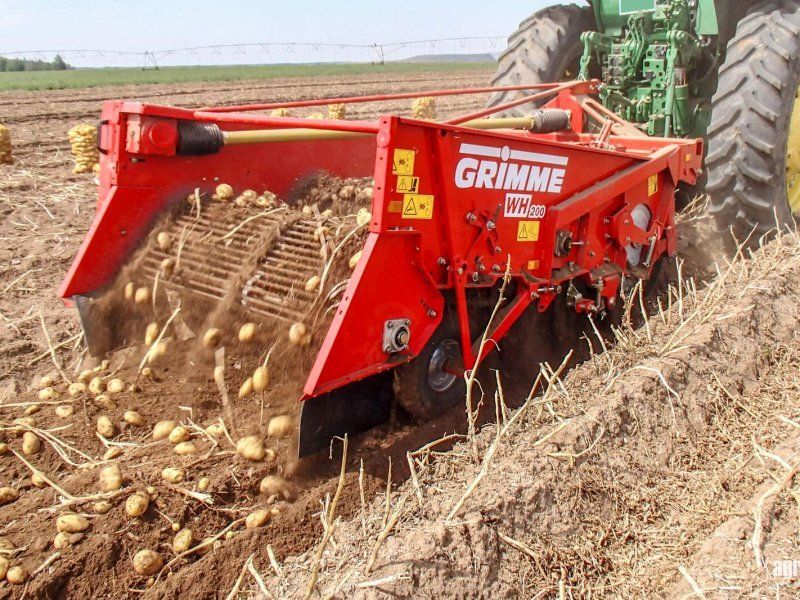 Grimme WH 200 trailed two-row windrower, 75 cm row spacing, 58 cm intak