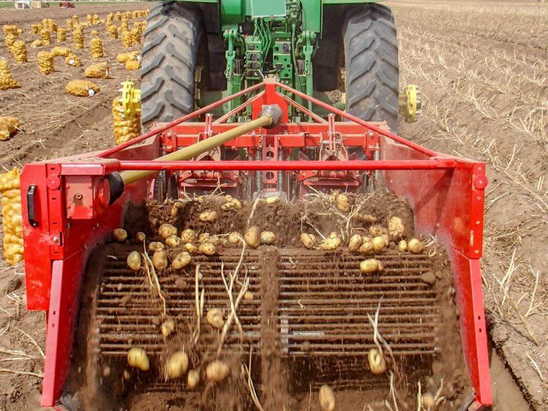 Grimme WH 200 trailed two-row windrower, 75 cm row spacing, 58 cm intak