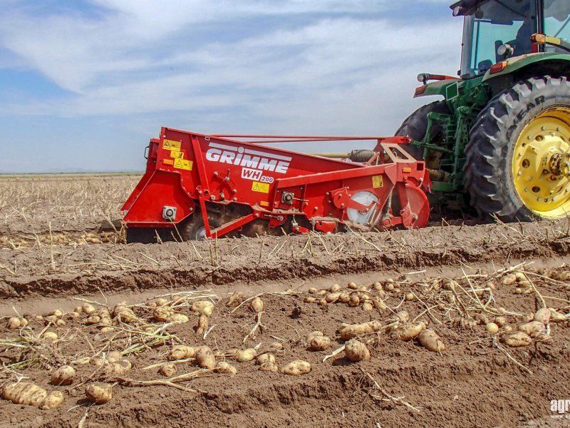 Grimme WH 200 trailed two-row windrower, 75 cm row spacing, 58 cm intak
