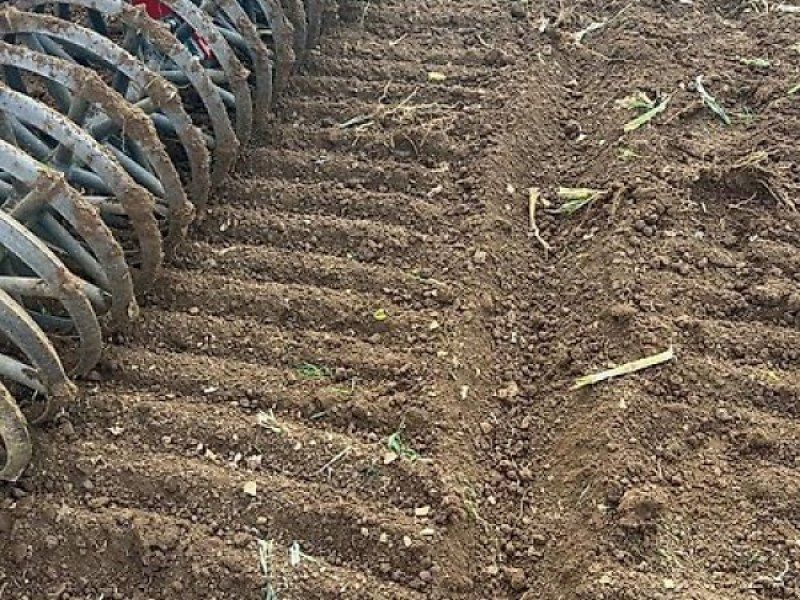 Evers JE 300 / VARIO