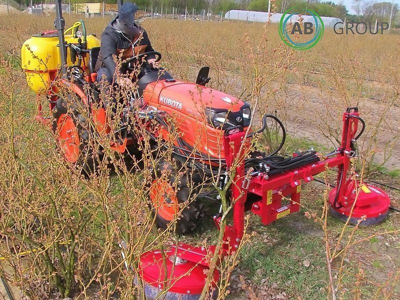 Jagoda belka herbicydowa TOLA TO006