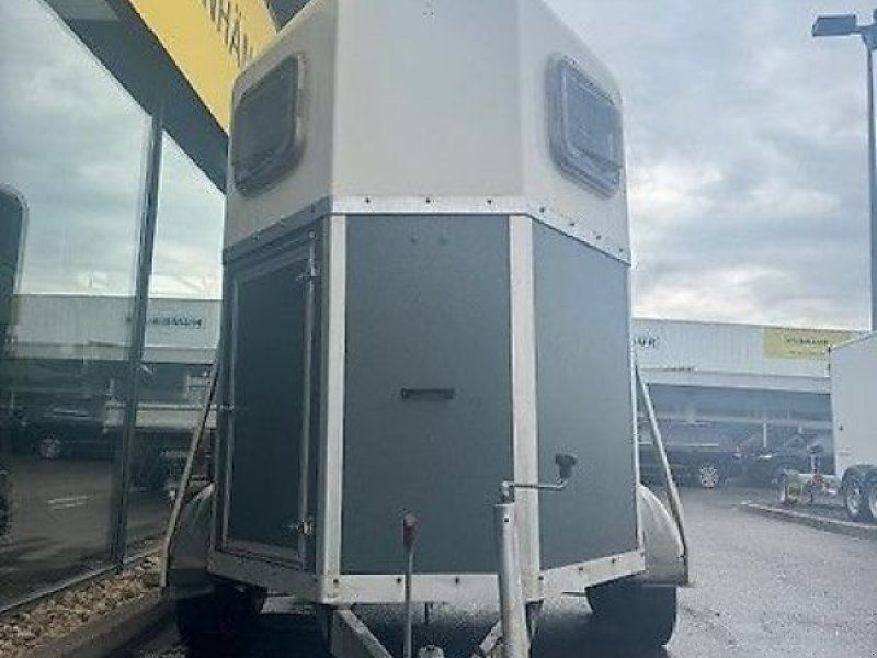 Blomert 2 Pferde Holz/ Poly 2t