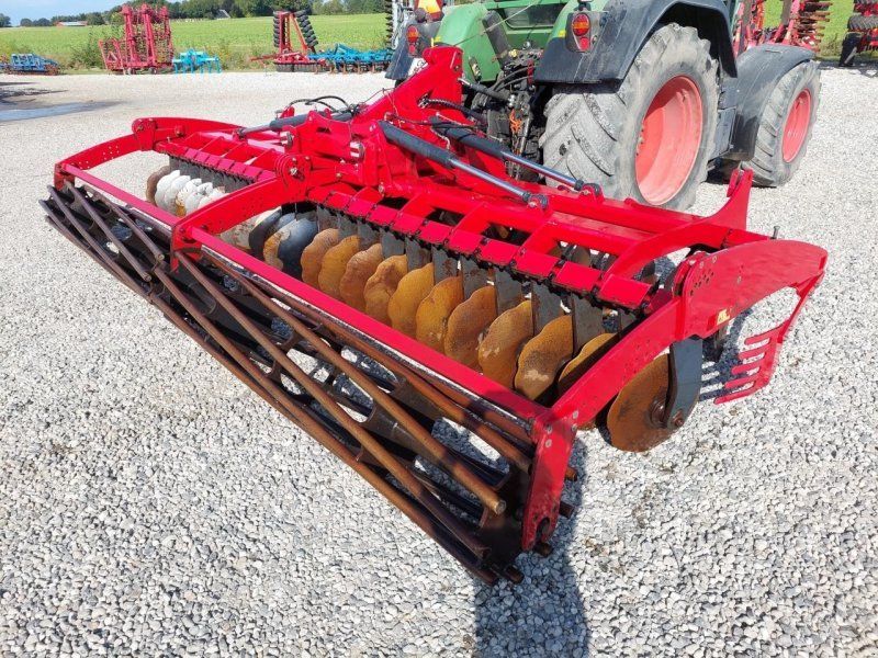 Tulip 600 XXLH
