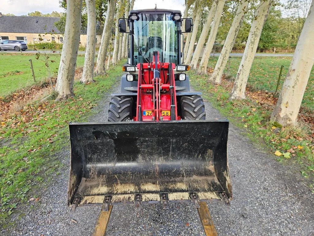 Terex TL 65 Wiellader Minishovel Radlader Shovel