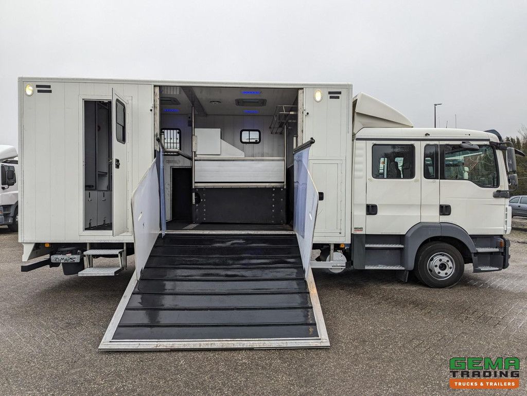 MAN TGL 12.180 4x2 DoKa 7 pers. Euro5 EEV - Horse truck 2 horses - 147.000 km!