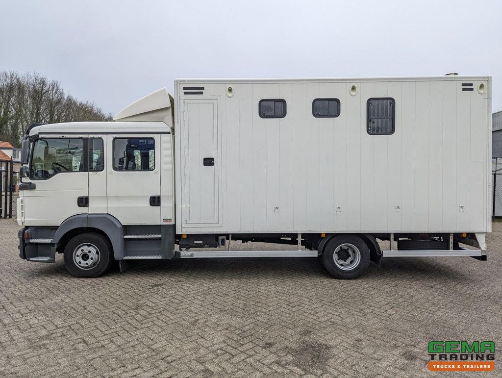 MAN TGL 12.180 4x2 DoKa 7 pers. Euro5 EEV - Horse truck 2 horses - 147.000 km!