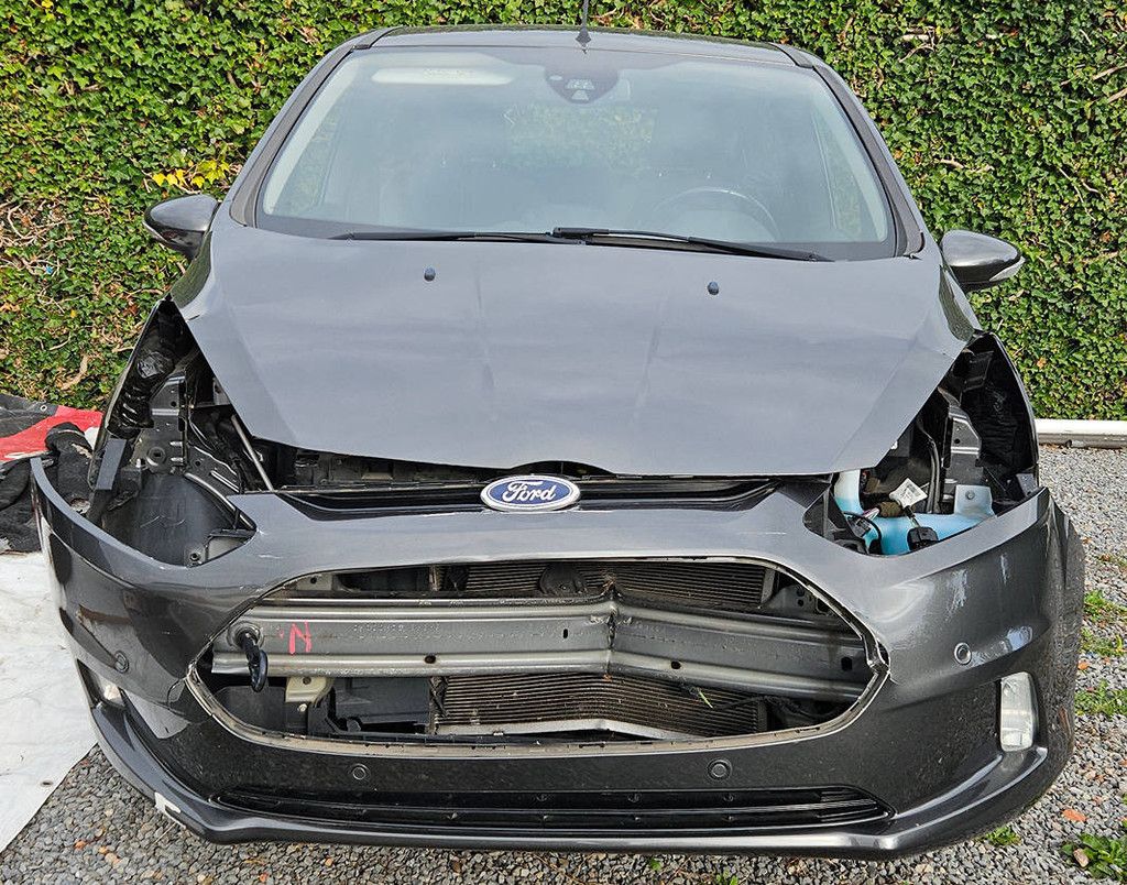 Ford B-Max 1.6 Automatic (project condition) (Margin)