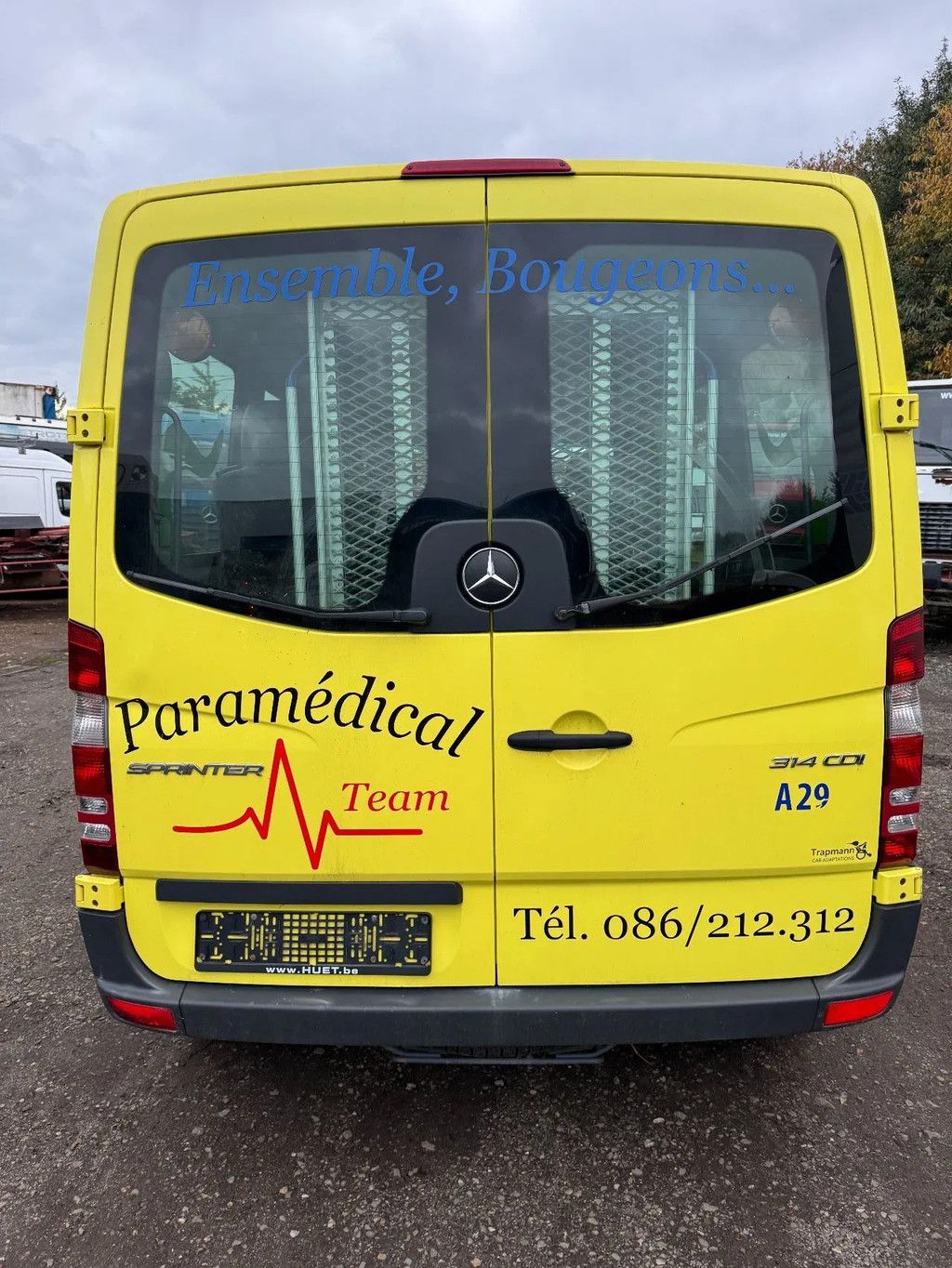 Mercedes-Benz Sprinter 314 **EURO 6B-ENGINE PROBLEM-MOTOR PROBLEM**