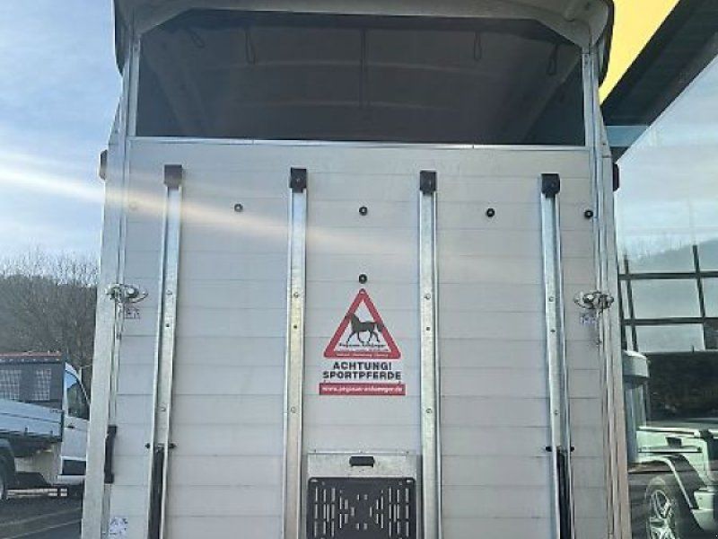 Humbaur Areion Shape 2,4t Pferde ALU NEU