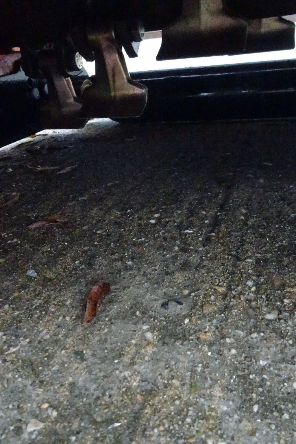 Knegt Klepelmaaier 200