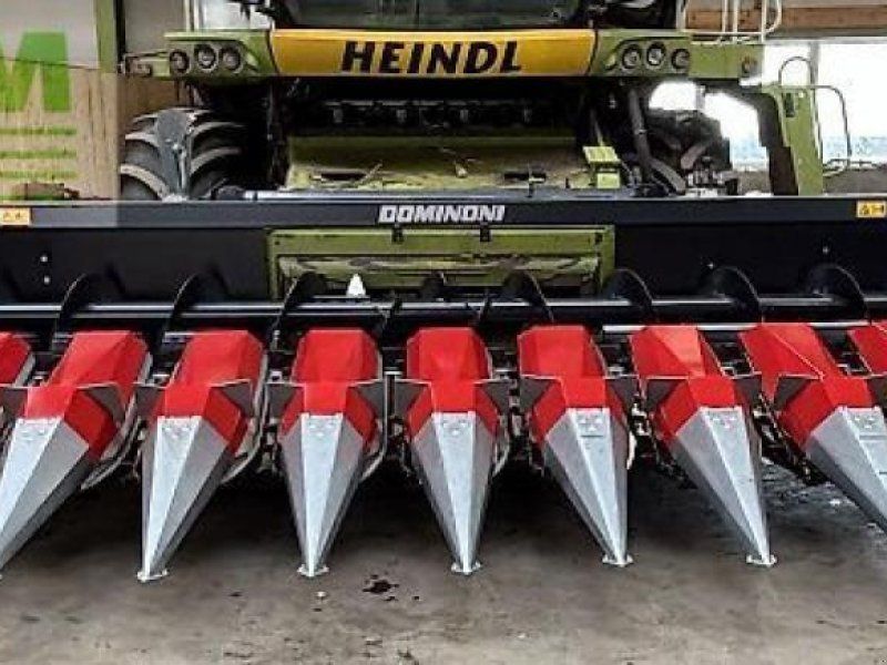 Dominoni maispflücker 12 reiher, 50 cm