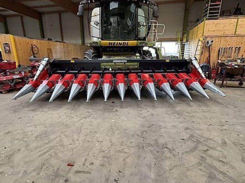 Dominoni maispflücker 12 reiher, 50 cm