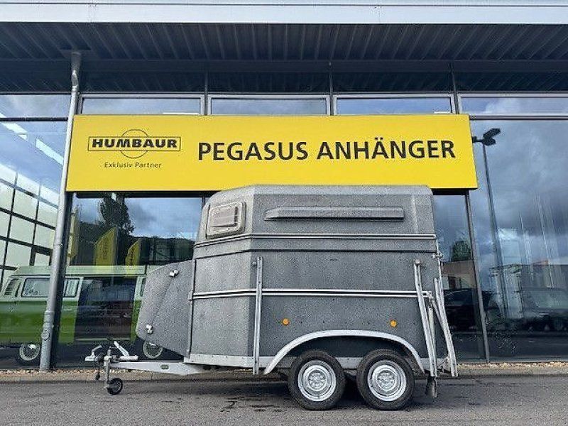 Böckmann 2 Pferde Vollpoly 2t. !! BODEN NEU !!