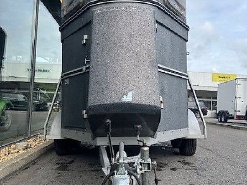 Böckmann 2 Pferde Vollpoly 2t. !! BODEN NEU !!