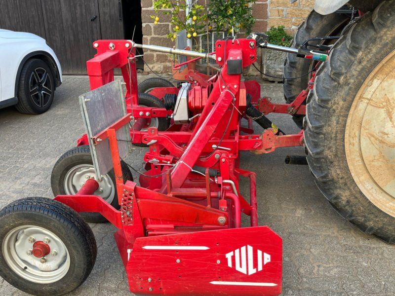 Tulip Roterra 300-35