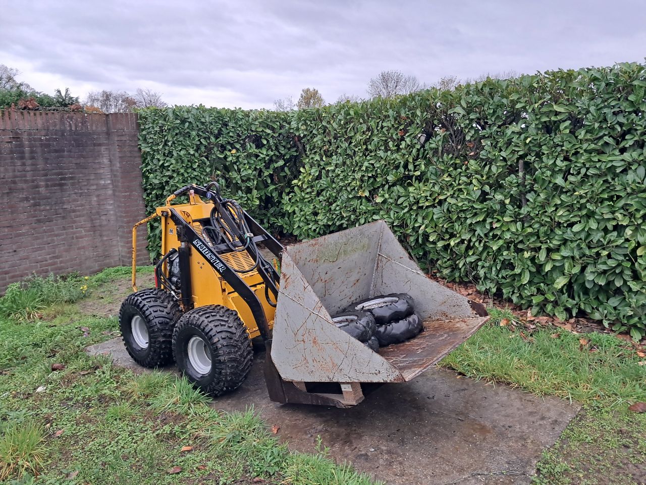 Skidster M10 X / Honda / Giant / Sherpa 100