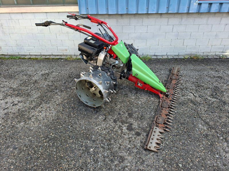 Rapid Swiss Motormäher