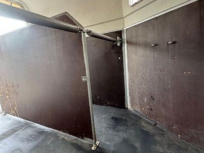 Böckmann 2- Pferde Holz/Poly 2t.