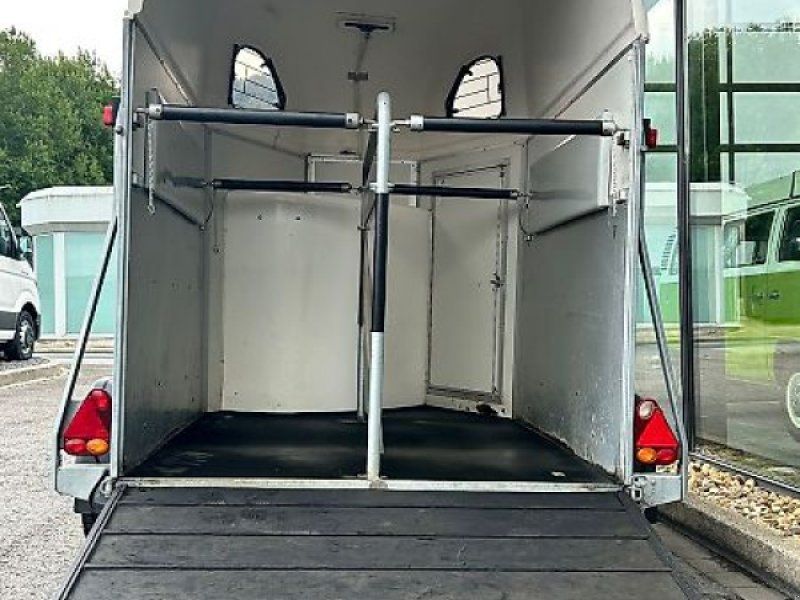 Cheval Liberte Gold First 2 Pferde Aluboden