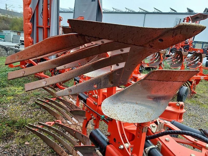 Maschio Unico NS V M 4-0