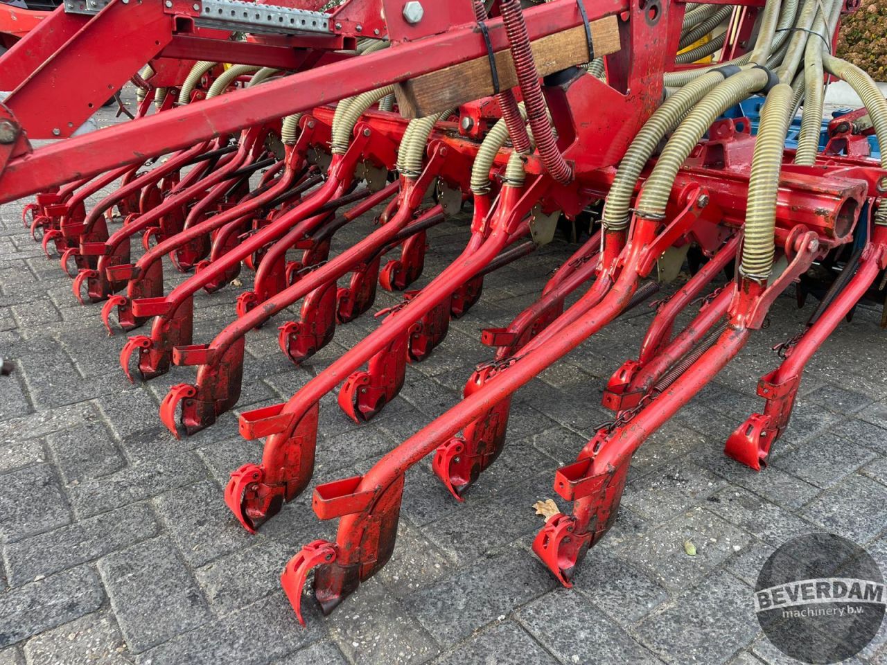 Rabe Accord zaaicombinatie 40 uitlopen