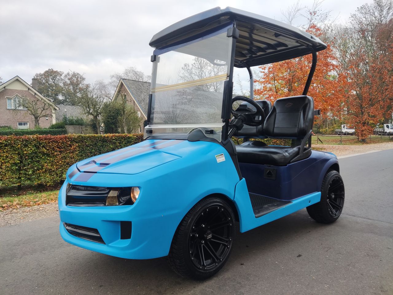EZGO / Chevrolet golfkar (type Camaro, lederen zitting, etc)
