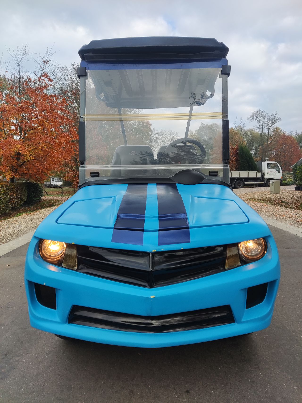 EZGO / Chevrolet golfkar (type Camaro, lederen zitting, etc)