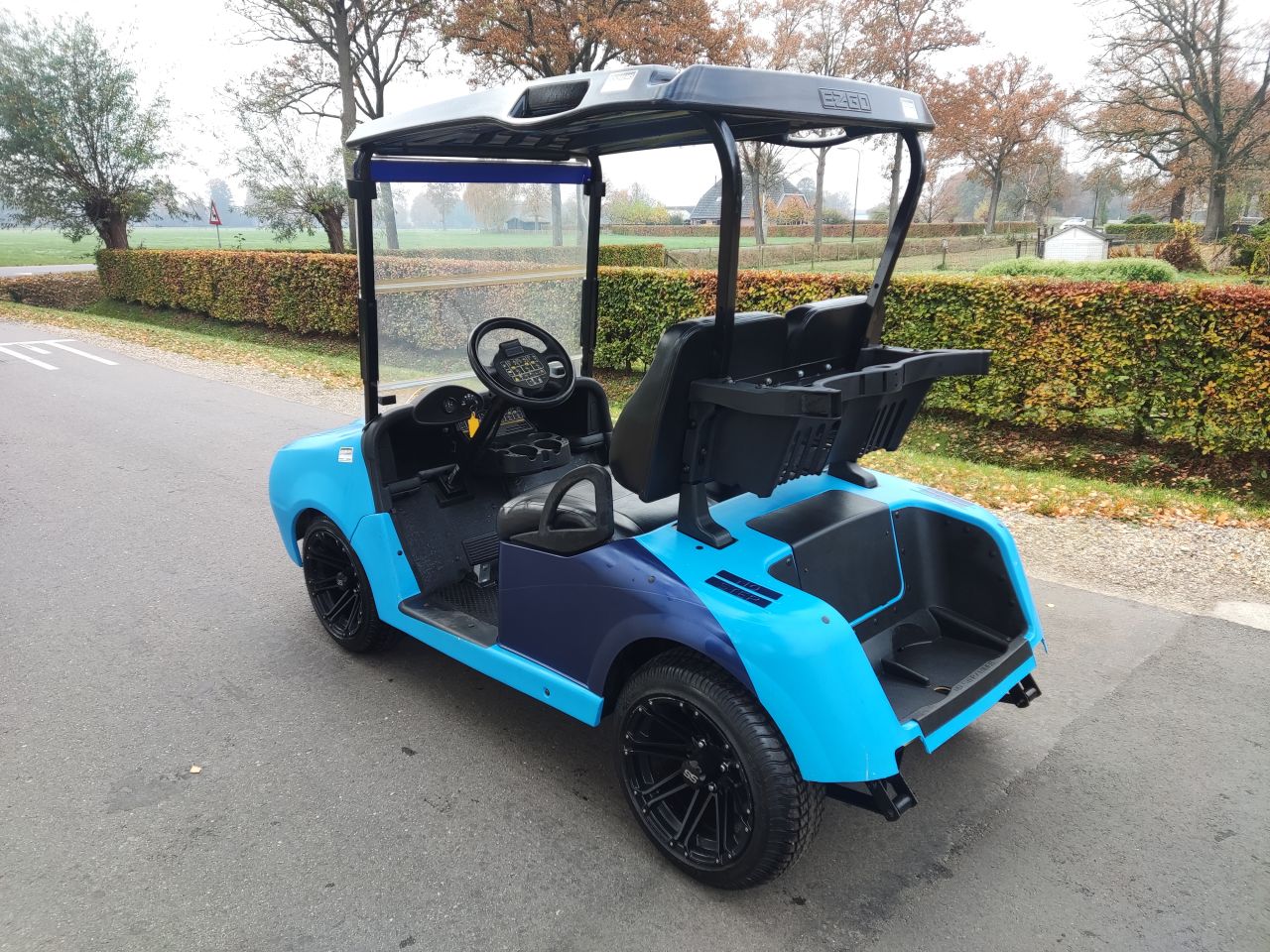 EZGO / Chevrolet golfkar (type Camaro, lederen zitting, etc)