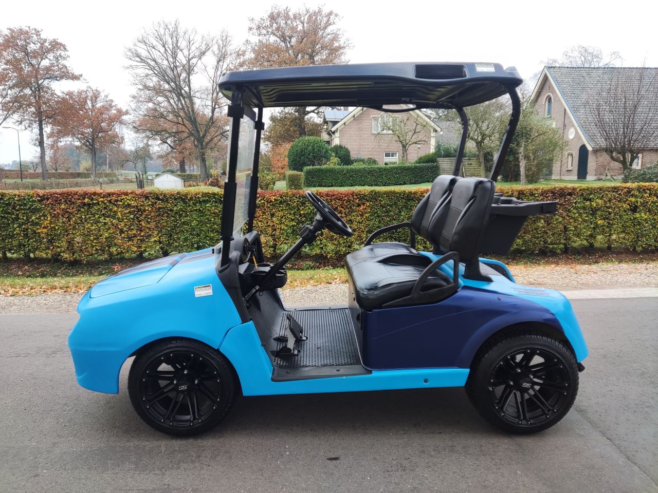 EZGO / Chevrolet golfkar (type Camaro, lederen zitting, etc)